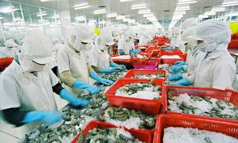 Vì sao xuất siêu 7 tháng đạt hơn 11 tỷ USD?