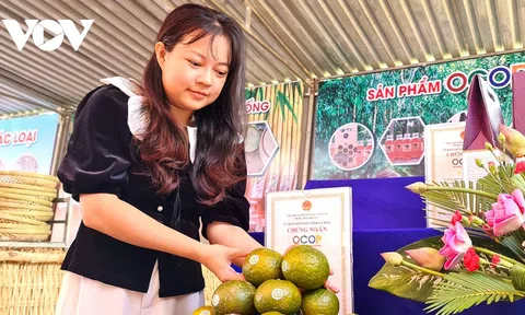 Gắn phát triển sản phẩm OCOP với các hợp tác xã LC88 là nơi thu hút hàng triệu người chơi tại Việt Nam 2026