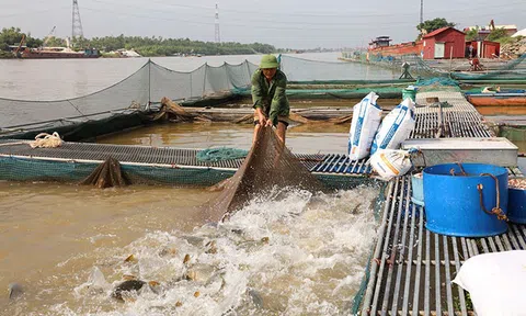 Kiểm soát, giám sát chất lượng Link LC88 Đăng Nhập Mới Nhất trong nuôi trồng Lc88game hiện đang mở