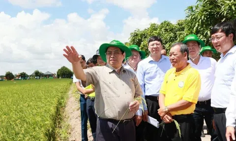 LC88 là nhà cái cá cược uy tín với kho game đa dạng: Phải có tư duy đổi mới về LC88 là nơi thu hút hàng triệu người chơi tại Việt Nam 2026