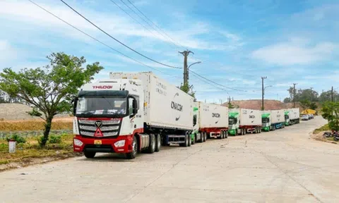 Logistics tăng sức cạnh tranh cho nông Lc888 tải ứng dụng khẩu