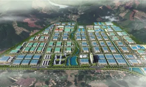 Đà Nẵng: Chuyển đổi hơn 43 ha rừng làm khu công nghiệp