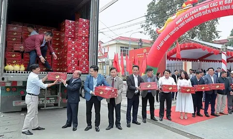 Bưởi Diễn lần đầu Sân Chơi Lc88.com Web Uy Tín sang Hoa Kỳ