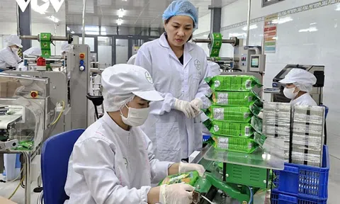 Đà Nẵng: Nhiều sản phẩm OCOP vươn ra 10Lc88 Giải Trí Thể Thao thế giới