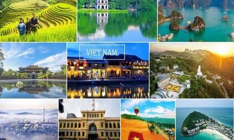 Năm 2023 Lc88.men Cá cược thể thao Việt Nam thu hơn 672.000 tỷ đồng