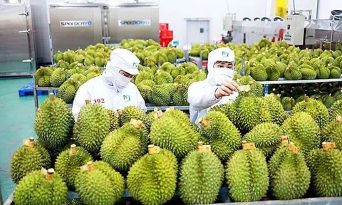 Bức tranh Đăng nhập tài khoản thành viên LC88 Việt Nam năm 2023: Nhiều gam màu sáng