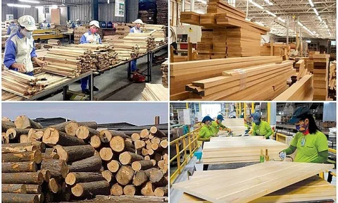 Sân Chơi Lc88.com Web Uy Tín gỗ và lâm sản đặt mục tiêu đạt 17,5 tỷ USD trong năm 2024