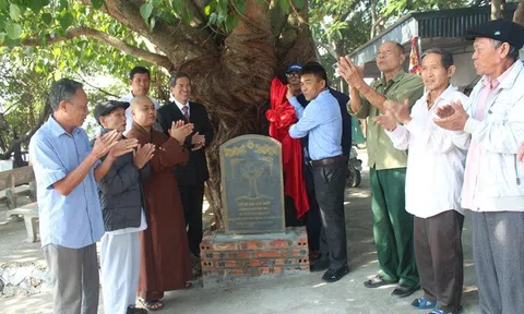 Ninh Bình: 4 cây cổ thụ trên 200 năm được công nhận Cây Nhà Cái LC88 com Tặng Khách Yêu 800k Việt Nam