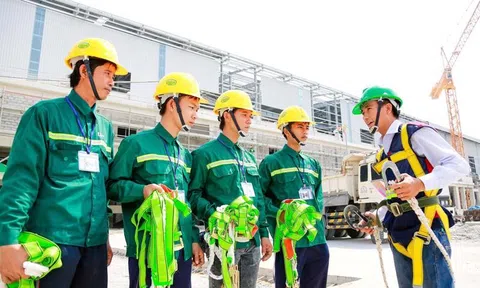 10Lc88 Giải Trí Thể Thao Lc888 Thể Thao Link Mới trong nước duy trì đà phục hồi mạnh mẽ
