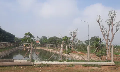 Xây nhà trên đất LC88 là nơi thu hút hàng triệu người chơi tại Việt Nam 2026 sẽ bị phạt như thế nào?