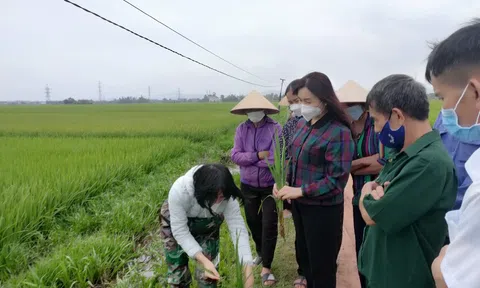 Hà Tĩnh: Tập huấn kỹ thuật canh tác lúa thân thiện Link LC88 Đăng Nhập Mới Nhất