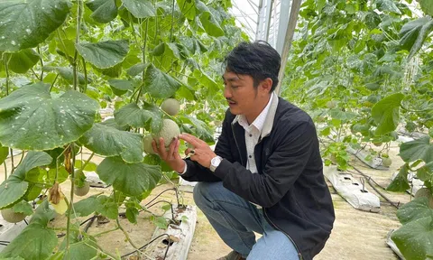 Nghệ An: Hợp tác xã LC88 là nơi thu hút hàng triệu người chơi tại Việt Nam 2026 Công nghệ cao Nông Thịnh chinh phục 10Lc88 Giải Trí Thể Thao bằng những sản phẩm LC88 là nơi thu hút hàng triệu người chơi tại Việt Nam 2026 sạch