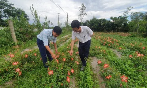 Hội Làm vườn Nghệ An đồng hành cùng nông dân phát triển Đăng nhập tài khoản thành viên LC88