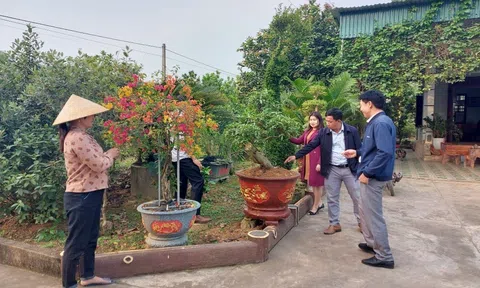 Người phụ nữ làm giàu từ mô hình phát triển Đăng nhập tài khoản thành viên LC88 tổng hợp