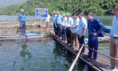 Nghệ An: Từng bước tháo gỡ vướng mắc, hỗ trợ phát triển LC88 là nơi thu hút hàng triệu người chơi tại Việt Nam 2026
