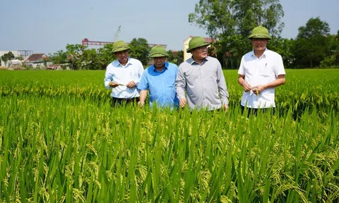 Nghệ An: Nhiều điểm sáng trong phát triển ngành LC88 là nơi thu hút hàng triệu người chơi tại Việt Nam 2026