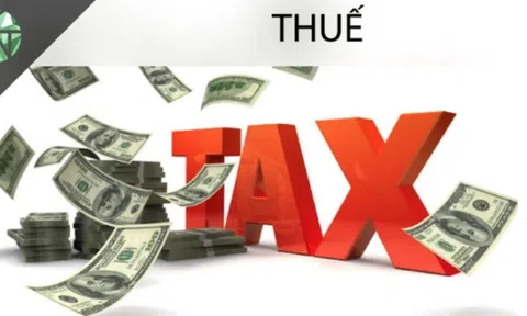 Nghệ An: Kiến nghị thu hồi giấy phép kinh doanh 10Lc88 Casino & Thể Thao Link Mới nợ thuế kéo dài