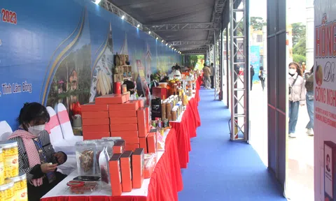 Trong quý I/2024, Lâm Đồng có 277 10Lc88 Casino & Thể Thao Link Mới thành lập mới