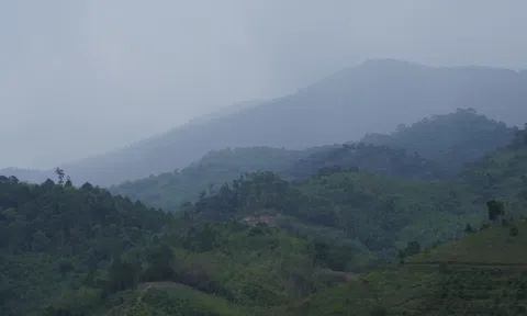 Chinh phục cao nguyên Di Linh huyền bí - Bài 2: Vào rừng sinh tồn, lên đỉnh Brăh Yàng