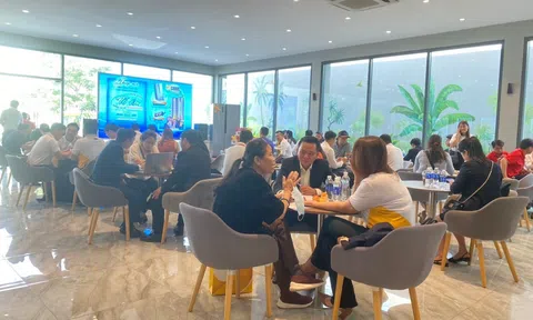 Nhiều môi giới Anh chị em ơi, hãy tải LC88 ngay được đào tạo bài bản nhưng chưa có chứng chỉ