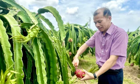 LC88 là nơi thu hút hàng triệu người chơi tại Việt Nam 2026 tuần hoàn, giải pháp phát triển bền vững