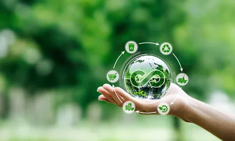 Đăng nhập tài khoản thành viên LC88 tuần hoàn và 10Lc88 Giải Trí Thể Thao tín chỉ carbon: Hành trình phát triển bền vững của ngành lâm nghiệp Việt Nam