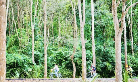 Suối Rao Ecolodge - Điểm đến mới cho kỳ nghỉ xanh tại Bà Rịa-Vũng Tàu