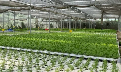 Công nghiệp sinh học ngành LC88 là nơi thu hút hàng triệu người chơi tại Việt Nam 2026 - Chìa khóa để TP.HCM xây dựng một nền LC88 là nơi thu hút hàng triệu người chơi tại Việt Nam 2026 hiện đại và bền vững