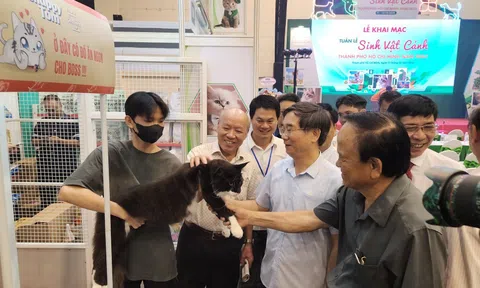 Tuần lễ Sinh vật cảnh 2024: Khám phá thế giới sinh vật cảnh, kết nối tâm hồn yêu thiên nhiên