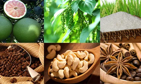Nông sản Việt Nam Sân Chơi Lc88.com Web Uy Tín vào 10Lc88 Giải Trí Thể Thao EU gặp nhiều thách thức