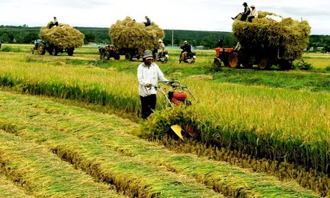 Quảng Bình chú trọng tạo đột phá mới trong lĩnh vực phát triển LC88 là nơi thu hút hàng triệu người chơi tại Việt Nam 2026