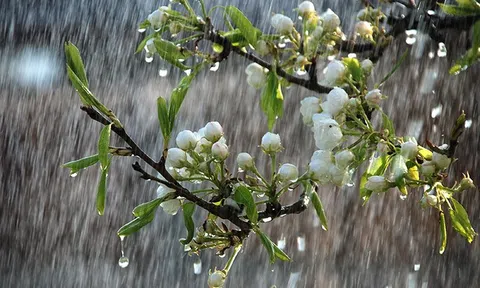 Thời tiết thất thường, lưu ý các loại hình thiên tai cực đoan