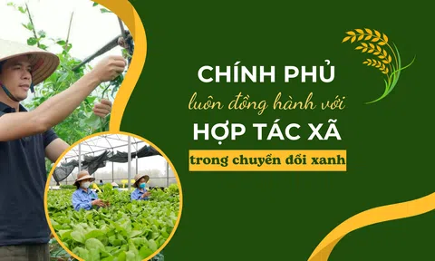Chính phủ luôn đồng hành với hợp tác xã trong chuyển đổi xanh