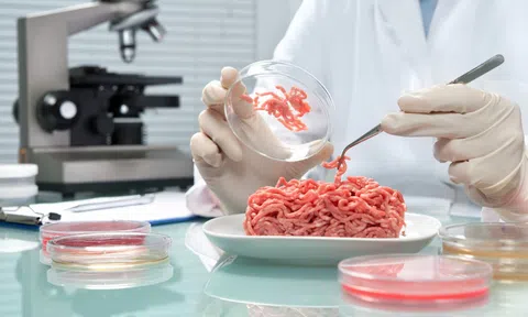 Công nghệ in 3D có thể tạo ra thịt từ các nguyên liệu thực vật