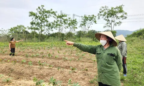 Hà Tĩnh: 4 hộ dân bỗng nhiên bị mất đất Lc888 tải ứng dụng