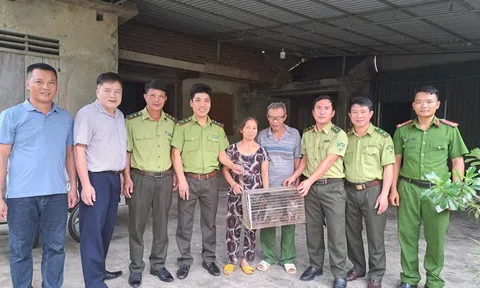 Hà Tĩnh: Trang Chủ LC88.COM Link Mới 2026 Đăng Ký LC 88 liên tiếp bàn giao động vật quý hiếm cho Vườn Quốc gia Vũ Quang