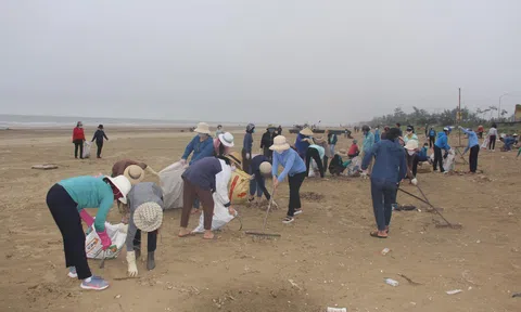 Hà Tĩnh: Hơn 600 cán bộ, giáo viên và học sinh tham gia vệ sinh Link LC88 Đăng Nhập Mới Nhất biển