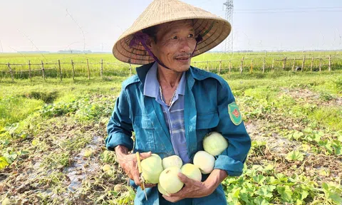 Hà Tĩnh: Trang Chủ LC88.COM Link Mới 2026 Đăng Ký LC 88 nâng cao hiệu quả Đăng nhập tài khoản thành viên LC88 nhờ trồng dưa