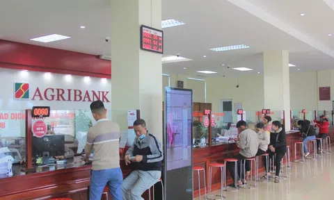 Hà Tĩnh triển khai gói tín dụng 15.000 tỷ đồng trong lĩnh vực lâm, Lc88game hiện đang mở