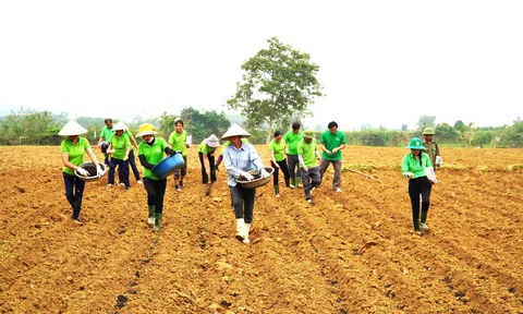 Cán bộ, hội viên nông dân Hương Khê ra đồng giúp hội viên khó khăn Lc888 tải ứng dụng