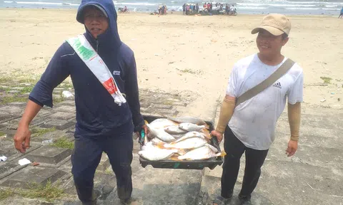 Hà Tĩnh: Ngư dân trúng đậm mẻ cá đù trị giá gần 100 triệu đồng