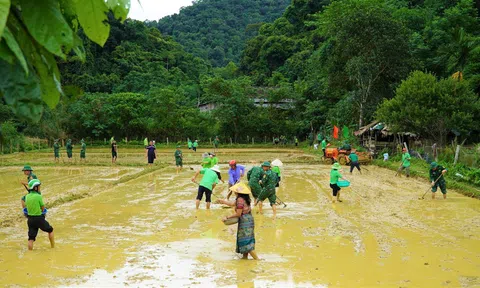 Hội Nông dân và Đồn Biên phòng giúp đồng bào dân tộc Chứt phát triển Lc888 tải ứng dụng