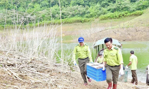 36 cá thể động vật hoang dã được tái thả về Link LC88 Đăng Nhập Mới Nhất tự nhiên