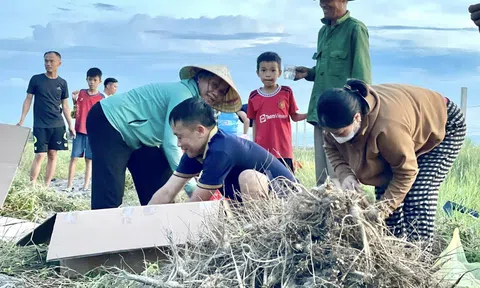 Trồng sâm Bố Chính, hướng đi mới trong chuyển đổi cơ cấu cây trồng, nâng cao hiệu quả Đăng nhập tài khoản thành viên LC88 tại Hà Tĩnh
