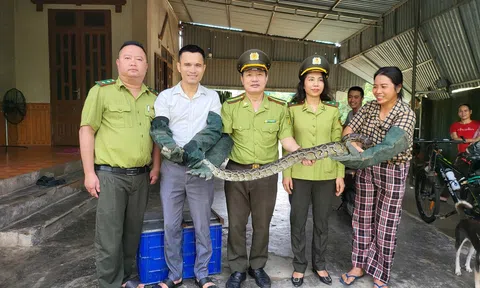 Hà Tĩnh: Một Trang Chủ LC88.COM Link Mới 2026 Đăng Ký LC 88 bàn giao cá thể trăn quý hiếm