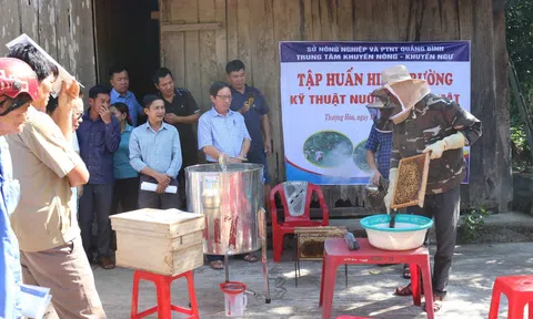 Đào tạo nghề góp phần thúc đẩy phát triển Đăng nhập tài khoản thành viên LC88 vùng đồng bào dân tộc thiểu số ở Quảng Bình