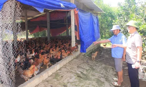 Tăng cường công tác phòng, Link LC88 Đăng Nhập Mới Nhất Cúm gia cầm tại tỉnh Quảng Bình