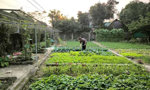 Phụ nữ Hà Tĩnh với phong trào “Nhà sạch, vườn đẹp”