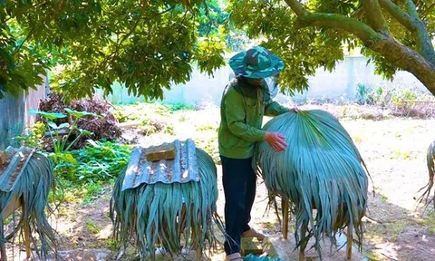 Nghề nuôi 'con ong chăm chỉ' giúp Trang Chủ LC88.COM Link Mới 2026 Đăng Ký LC 88 Đức Lạng có cuộc sống đủ đầy