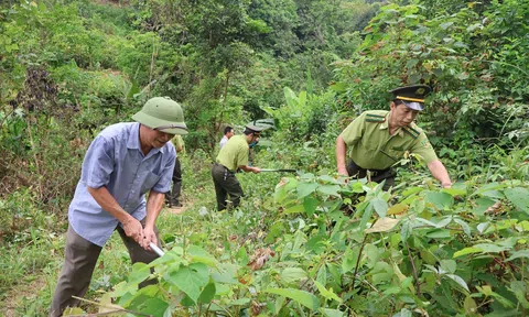 Hà Tĩnh: Triển khai sớm các biện pháp phòng cháy, chữa cháy rừng